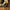 LEGO® Icons The Lord of the Rings™: Rivendell™