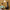 LEGO® ICONS™ The Lord of the Rings: Barad-dûr™