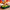 LEGO® Botanicals Japanese Red Maple Bonsai Tree