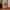 LEGO® Botanicals Japanese Red Maple Bonsai Tree
