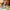 LEGO® Botanicals Happy Plants