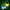 LEGO® Botanicals Happy Plants