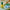 LEGO® Botanicals Happy Plants
