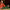 LEGO® Icons The Lord of the Rings: The Shire™