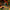 LEGO® Icons The Lord of the Rings: The Shire™