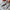 LEGO® Icons Star Trek: U.S.S. Enterprise NCC-1701-D™