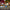 LEGO® Icons Holiday Express Train