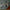 LEGO® Icons Holiday Express Train