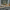 LEGO® Icons Holiday Express Train