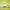 LEGO® DUPLO™ 3in1 Animals on Wheels