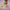 LEGO® DUPLO™  Hopsy's Castle Game