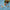 LEGO® DUPLO® Bluey: Ice Cream Trip with Bluey
