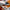 LEGO® Icons Douglas™ DC-3™ PAN AM® Airliner