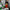 LEGO® Icons Lion Knights' Castle