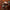 LEGO® Icons Holiday Main Street