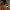 LEGO® Icons Holiday Main Street