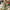 LEGO® Architecture Neuschwanstein Castle