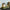 LEGO® Architecture Neuschwanstein Castle