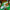 LEGO® Minecraft® Advent Calendar 2025