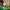 LEGO® Minecraft® Advent Calendar 2025