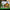 LEGO® Minecraft® Advent Calendar 2025