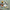 LEGO® Ideas | Disney Pixar Luxo Jr.