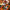 LEGO® Ideas Italian Riviera