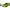 LEGO 77237 Speed Champions Dodge Challenger SRT Hellcat Sports Car