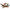LEGO 76974 Jurassic World Brick-Built Mosasaurus Boat Mission