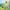 LEGO® Creator 3-in-1 Cute Bunny