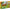 LEGO® Creator 3-in-1 Beautiful Horse