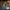 LEGO® Creator 3-in-1 Haunted Mansion