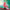LEGO® Creator 3-in-1 Wild Animals: Pink Flamingo