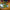 LEGO® Creator 3-in-1 Retro Telephone