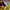 LEGO® Art: The Fauna Collection - Tiger