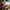 LEGO® Art: The Fauna Collection - Tiger