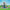 LEGO® Creator Iconic Ferris Wheel