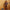 LEGO® Star Wars™ Chewbacca™