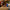 LEGO® | Disney and Pixar Toy Story Slinky Dog Bookends