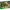 LEGO® Wicked Elphaba’s Retreat