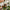 LEGO® Star Wars™ Princess Leia™ (Boushh™) Helmet
