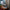 LEGO® Icons Douglas™ DC-3™ PAN AM® Airliner