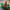 LEGO® Christmas Table Decoration