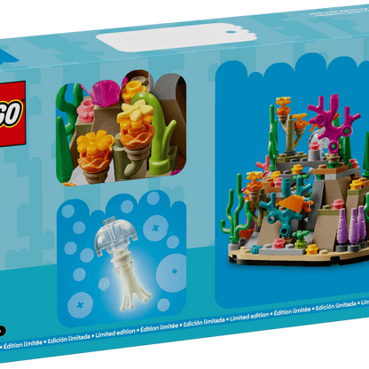 Coral Reef Diorama
