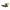 LEGO® 42197 Technic™ Backhoe Loader
