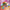 LEGO® Friends™ Costume Party with Unicorn & Fairy