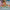LEGO® Friends™ Costume Party with Unicorn & Fairy
