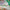 LEGO® Friends™ Costume Party with Unicorn & Fairy