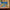 LEGO® Friends Advent Calendar 2025