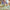 LEGO® Friends™ Plant Café & Flower Shop